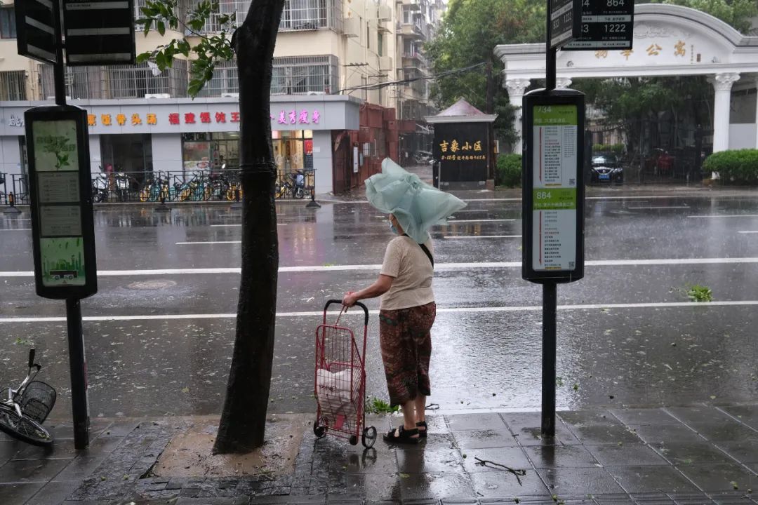 图录上柔美,优美 海 | 携手走过又一年(图49)